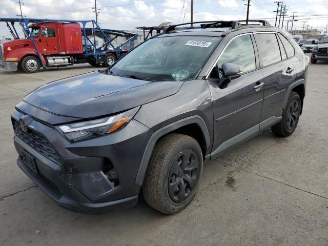 Global Auto Auctions: 2019 TOYOTA RAV4 LE