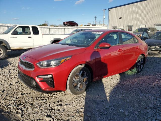 Global Auto Auctions: 2019 KIA FORTE FE