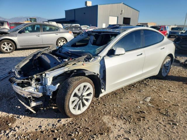 Global Auto Auctions: 2021 TESLA MODEL 3