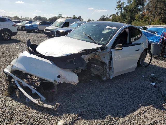 2023 TESLA MODEL Y #3303885770