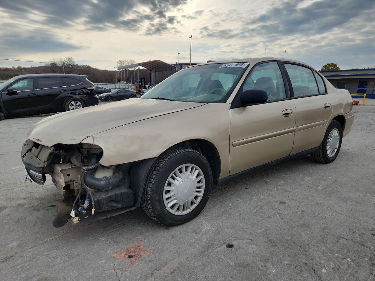 Lot #3298061168 2004 CHEVROLET MALIBU