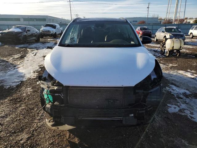 2019 HYUNDAI TUCSON LIM #3290246208