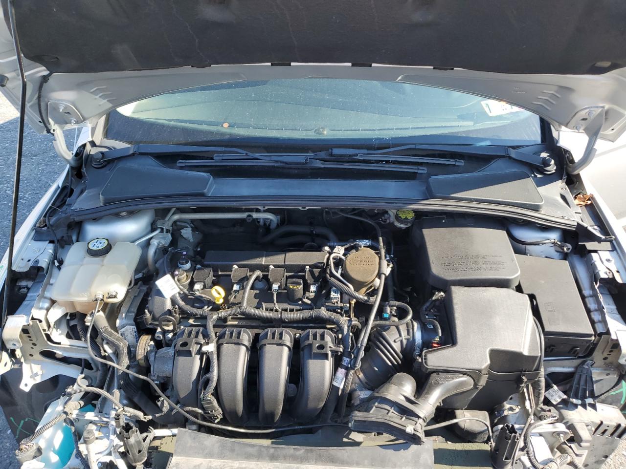 Lot #3301933424 2016 FORD FOCUS SE