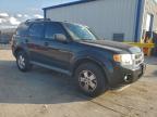 Lot #3301768349 2011 FORD ESCAPE XLT