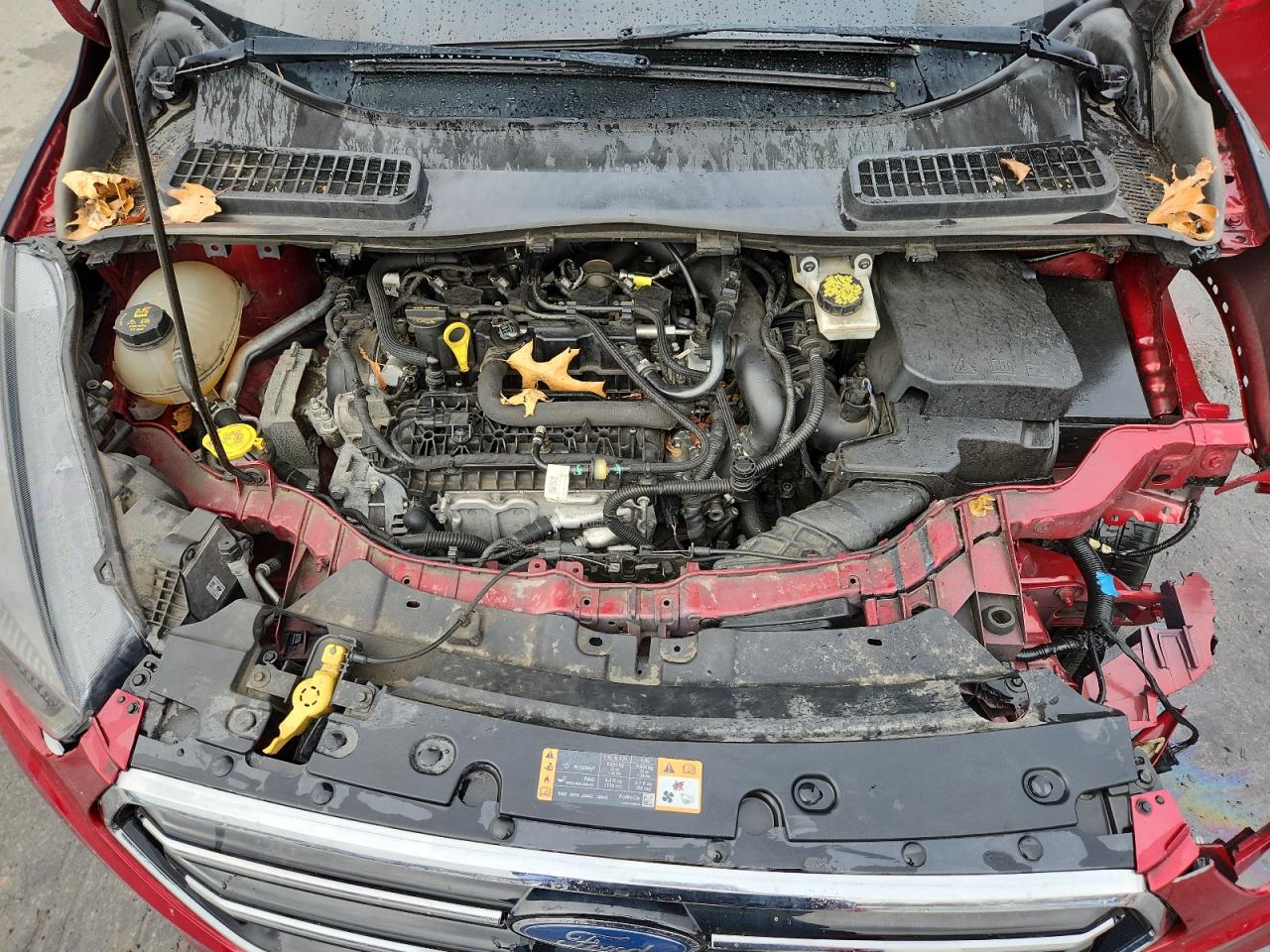 Lot #3301970464 2019 FORD ESCAPE SE