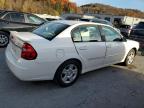 Lot #3302649022 2006 CHEVROLET MALIBU LT