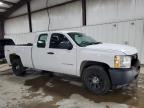 Lot #3310416993 2013 CHEVROLET SILVERADO