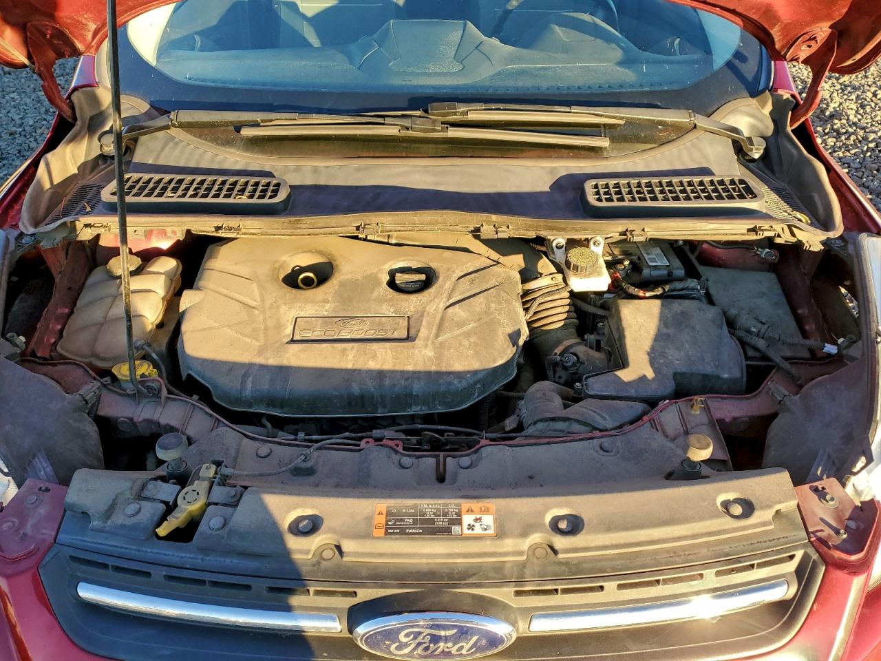 Lot #3309572618 2014 FORD ESCAPE SE