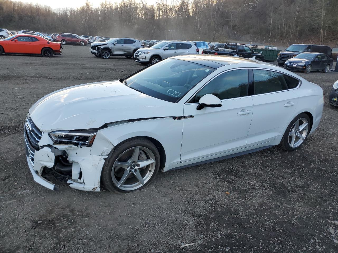 AUDI A5 PREMIUM PLUS S-LINE