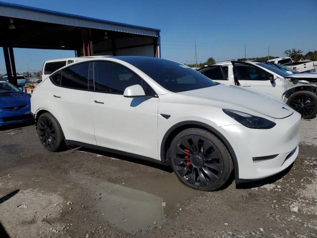2023 TESLA MODEL Y #3297057494