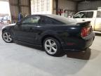 Lot #3310373976 2009 FORD MUSTANG GT