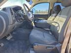 Lot #3308427295 2013 CHEVROLET SILVERADO
