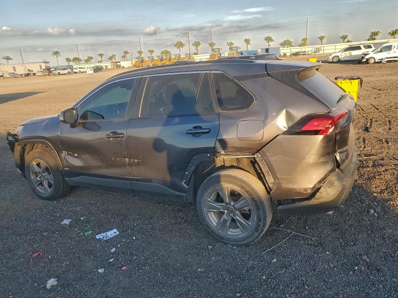 2024 TOYOTA RAV4 XLE #3297017384