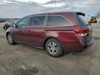 Lot #3303818434 2014 HONDA ODYSSEY