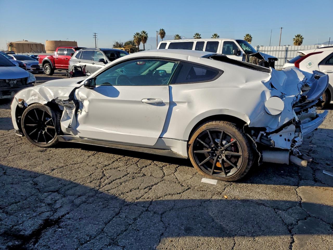 FORD MUSTANG SHELBY GT350
