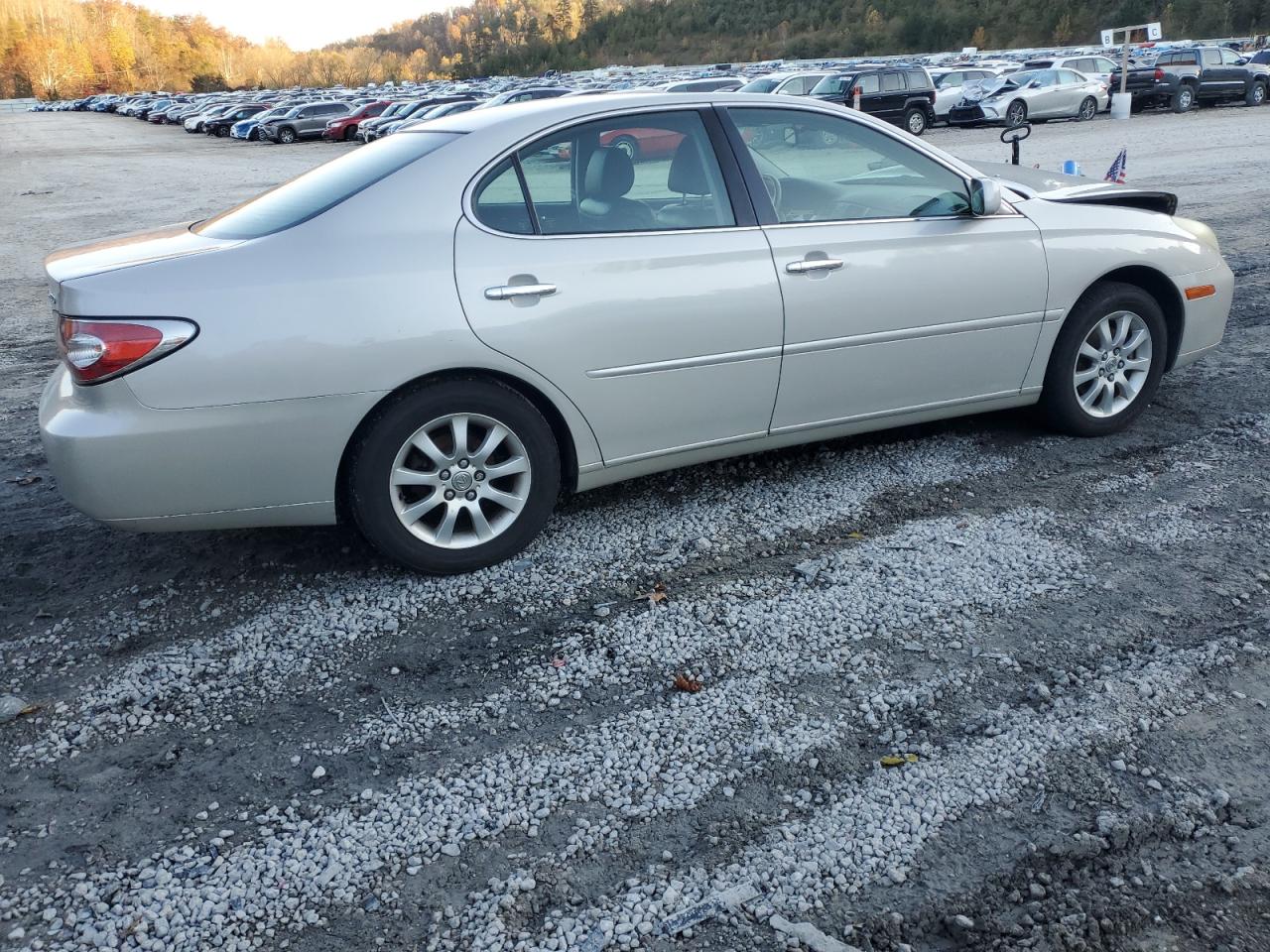 Lot #3282549870 2003 LEXUS ES 300
