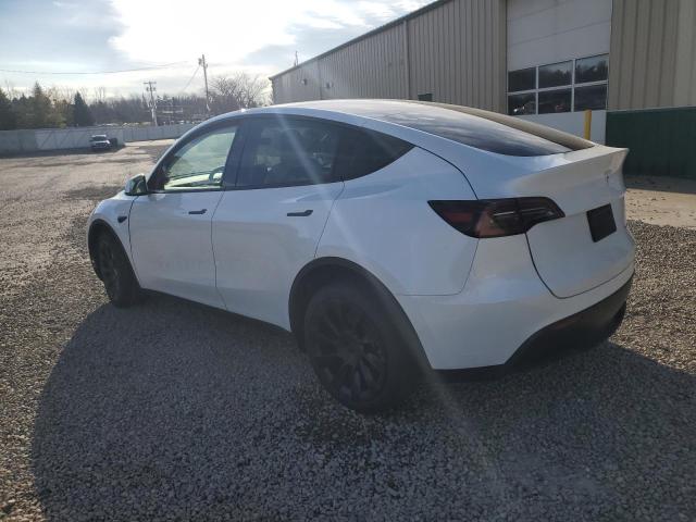 2025 TESLA MODEL Y #3302759387