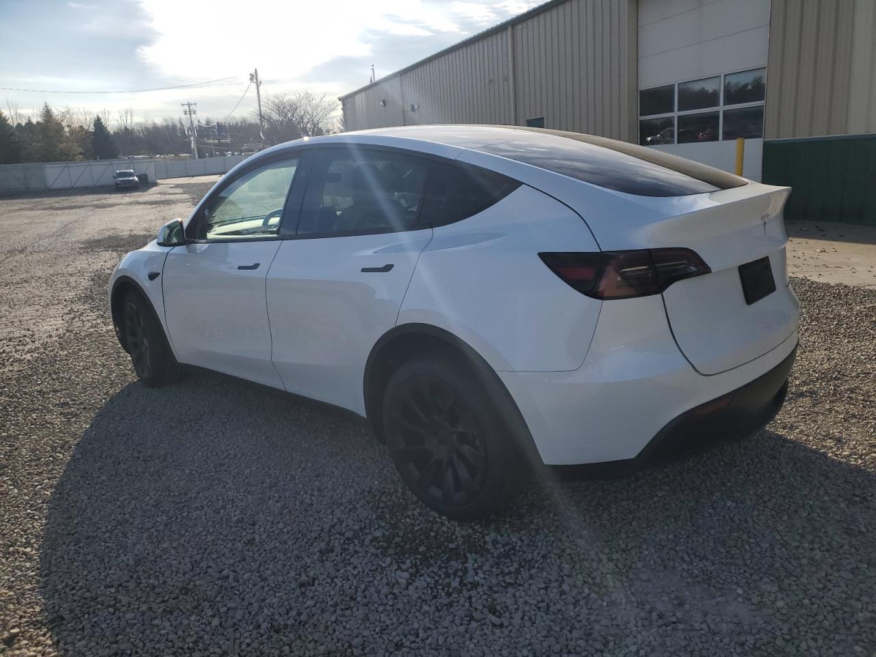 Lot #3302759387 2025 TESLA MODEL Y