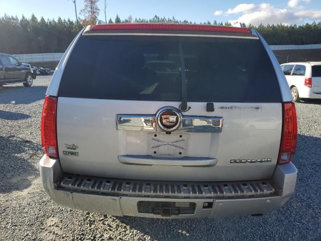 2010 CADILLAC ESCALADE E - 1GYUKJEF6AR225822