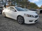 Lot #3303800441 2014 HONDA ACCORD SPO