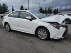 Lot #3310540064 2024 TOYOTA COROLLA LE