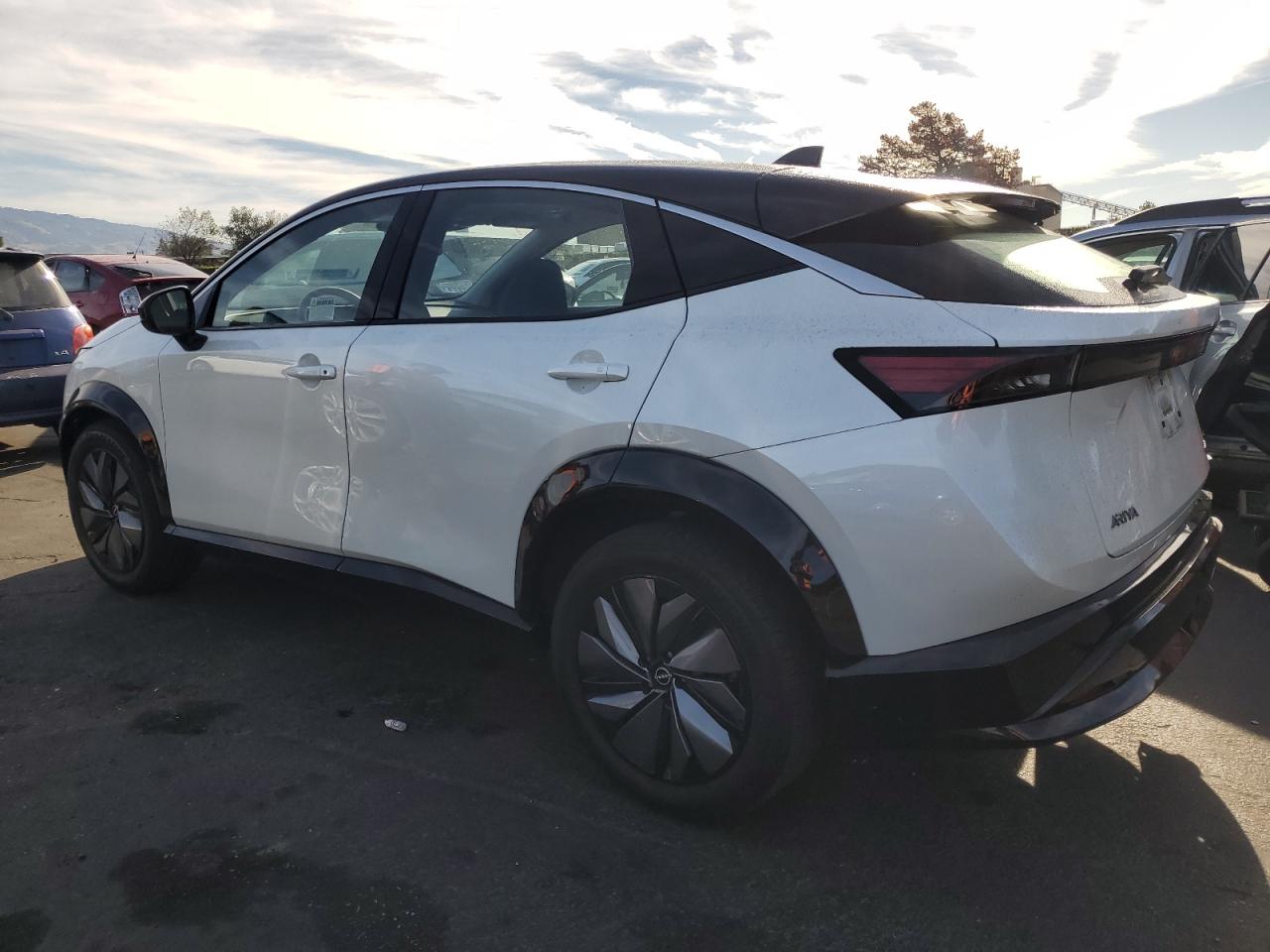 NISSAN ARIYA VENTURE+