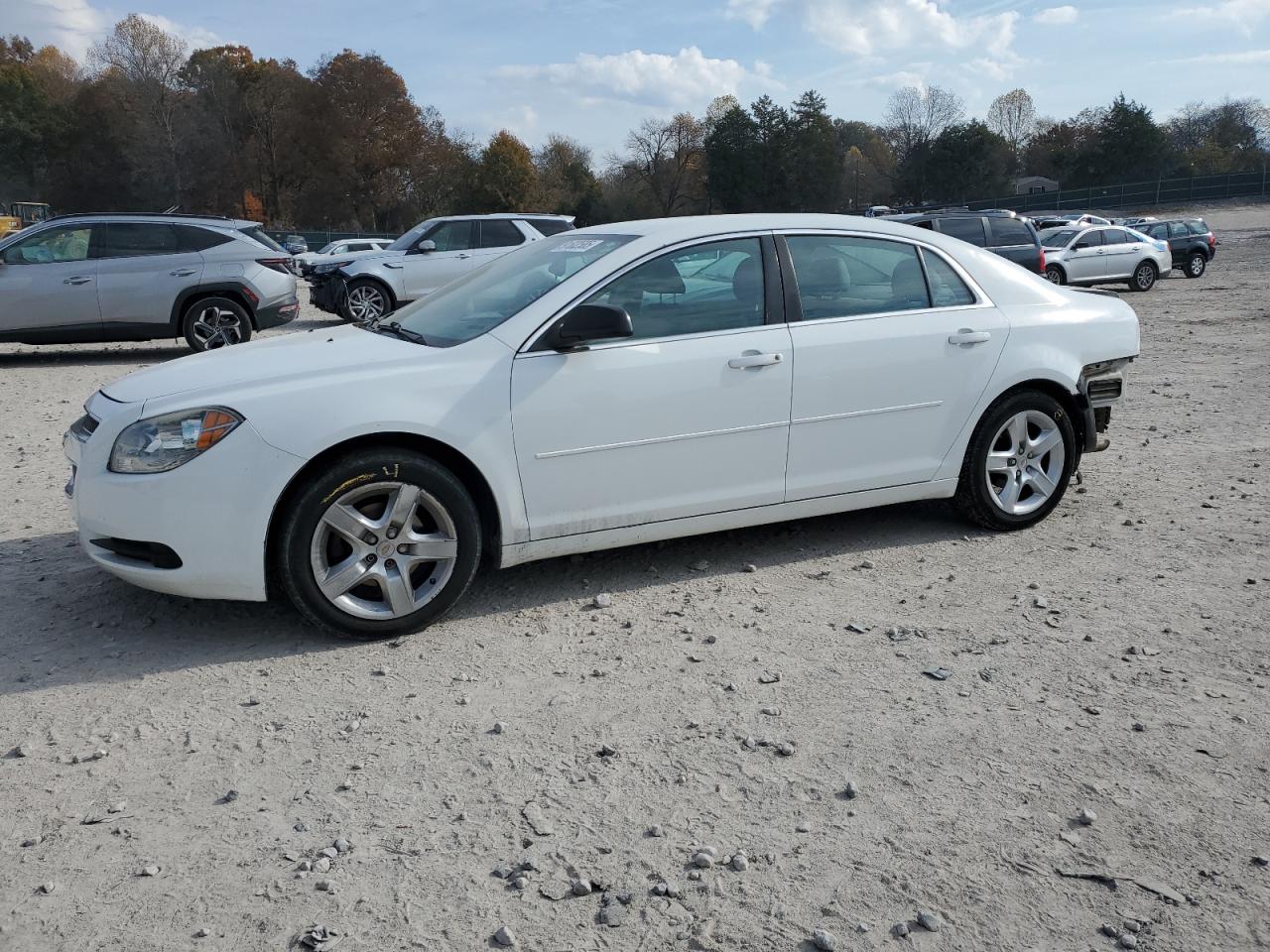 Lot #3287670008 2012 CHEVROLET MALIBU LS