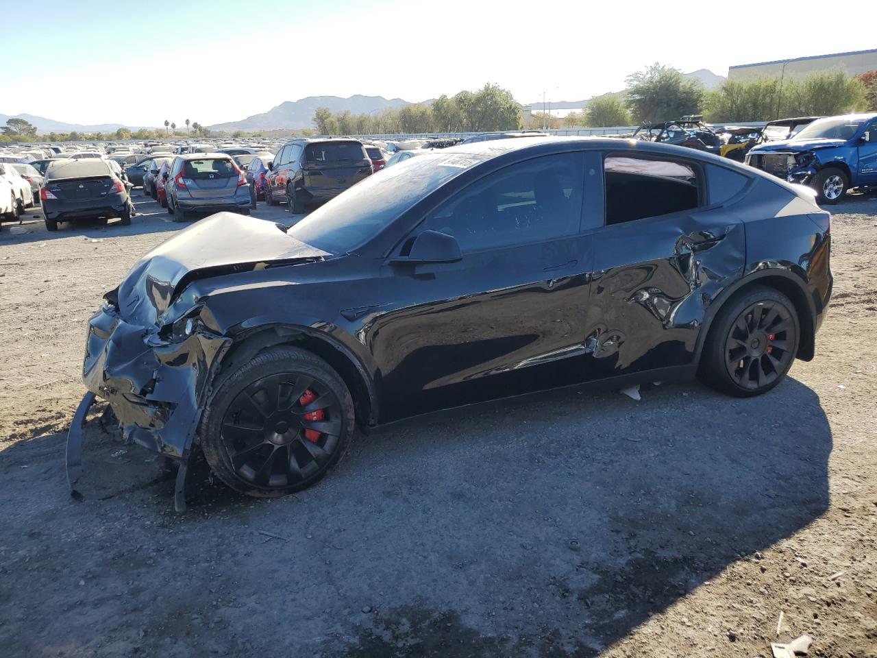 TESLA MODEL Y