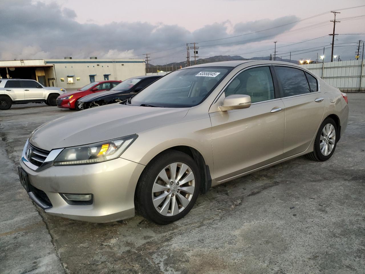 HONDA ACCORD EX