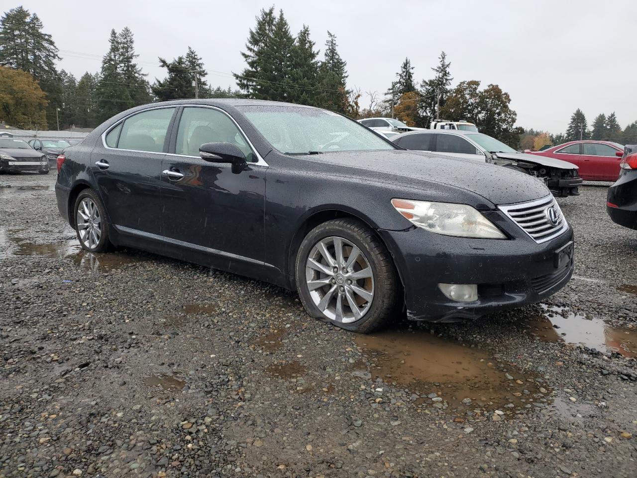 LEXUS LS 460 460L