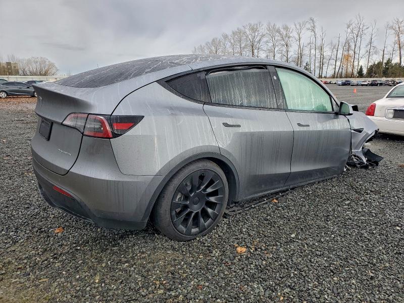 2024 TESLA MODEL Y #3302663066