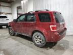 Lot #3303731471 2012 FORD ESCAPE LIM