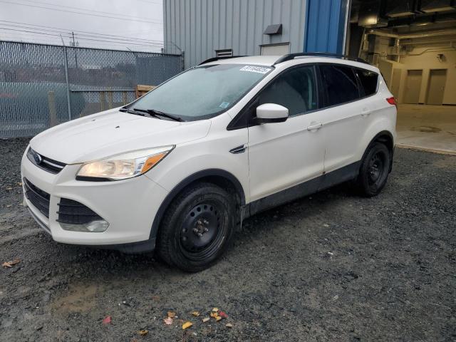 Global Auto Auctions: 2014 FORD ESCAPE SE