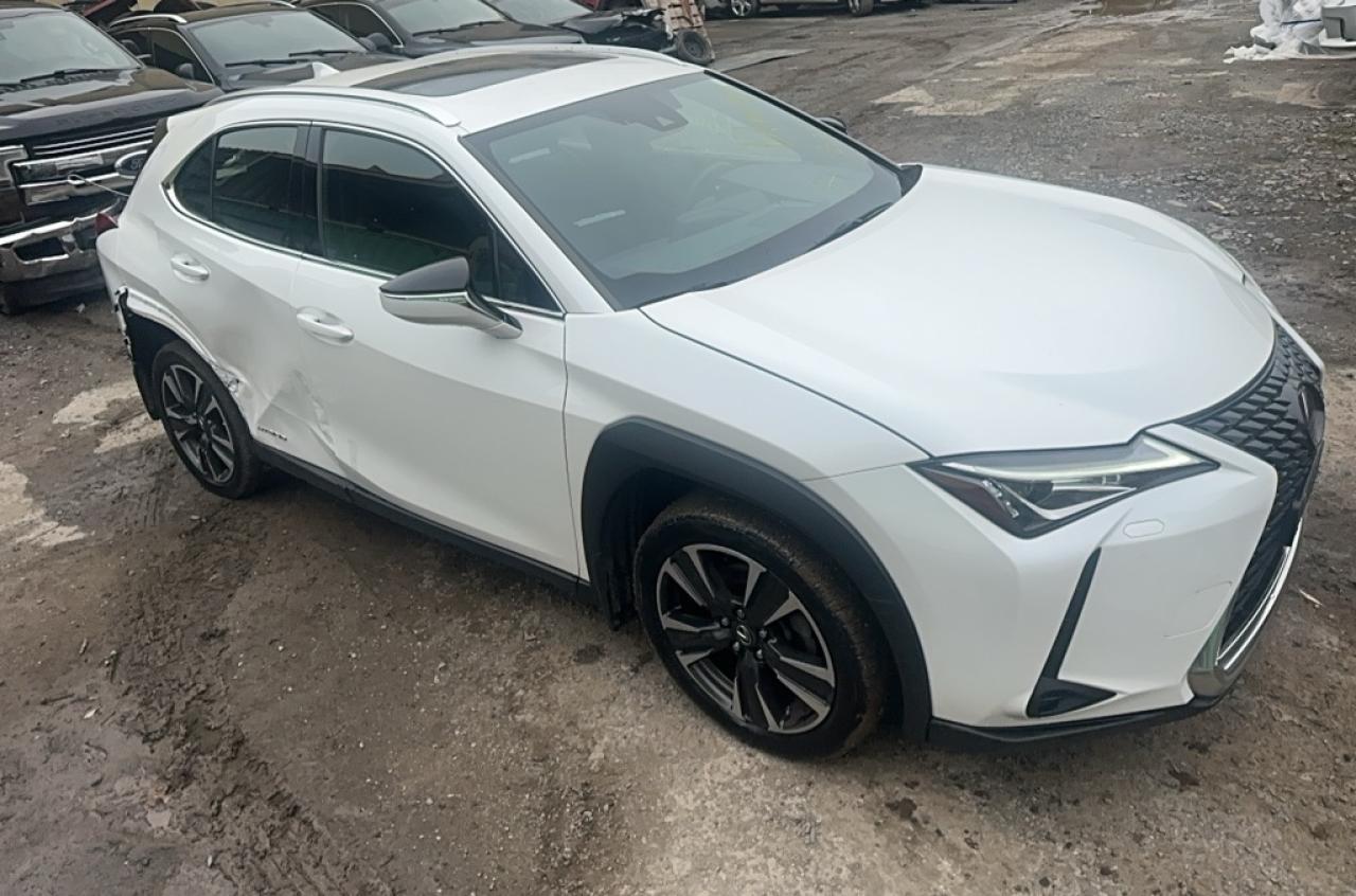 LEXUS UX 250H