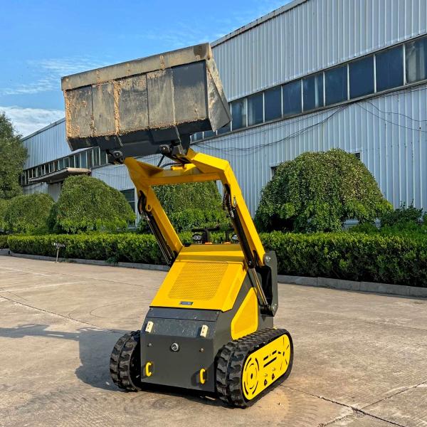 2025 OTHERS OTHER #3302675054