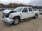 Lot #3294246887 2013 CHEVROLET SILVERADO
