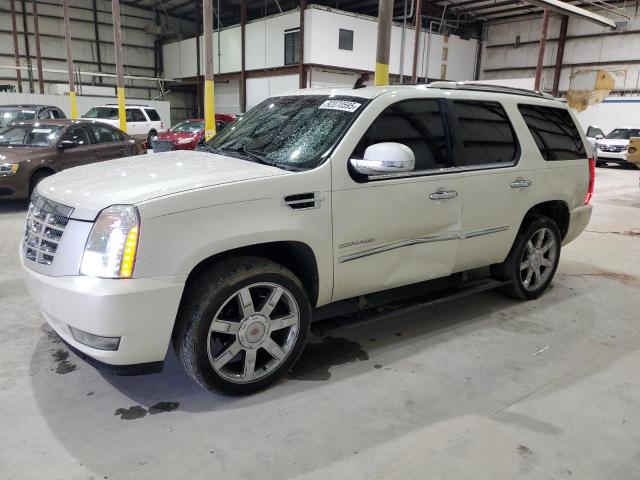 Global Auto Auctions: 2010 CADILLAC ESCALADE P