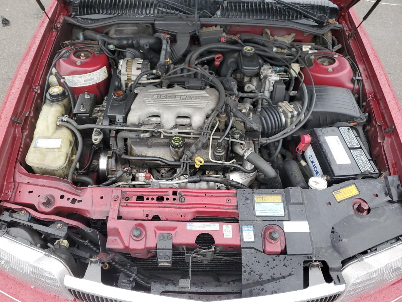 Lot #3315888104 1996 BUICK SKYLARK GR