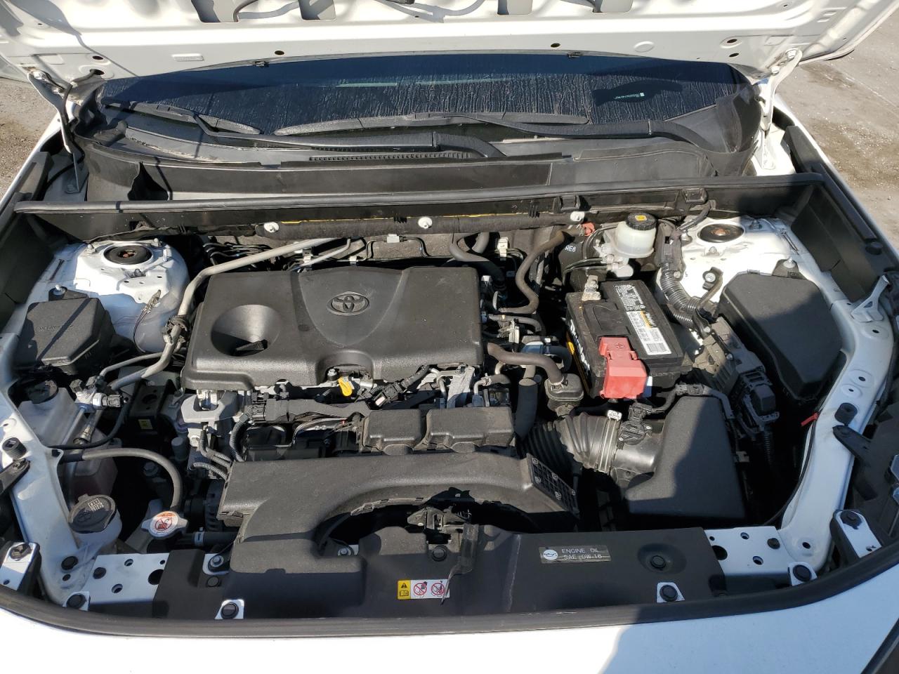 Lot #3301829353 2019 TOYOTA RAV4 LE