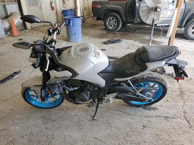 2025 YAMAHA MTN320 A #3292528708