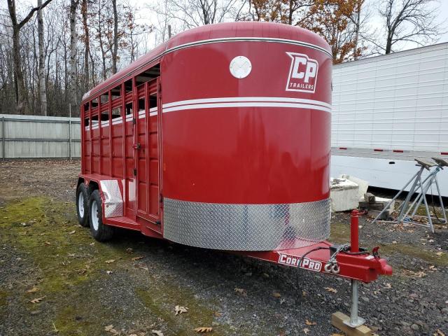 Global Auto Auctions: 2025 CFWU UNKNOWN