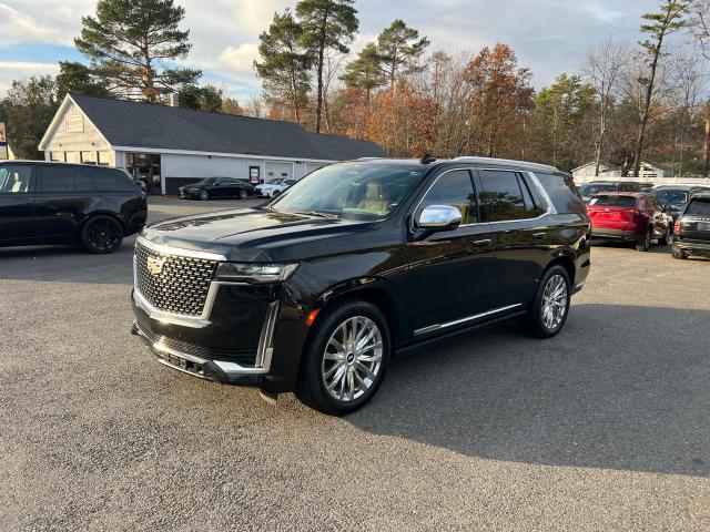 2021 CADILLAC ESCALADE P #3287623024