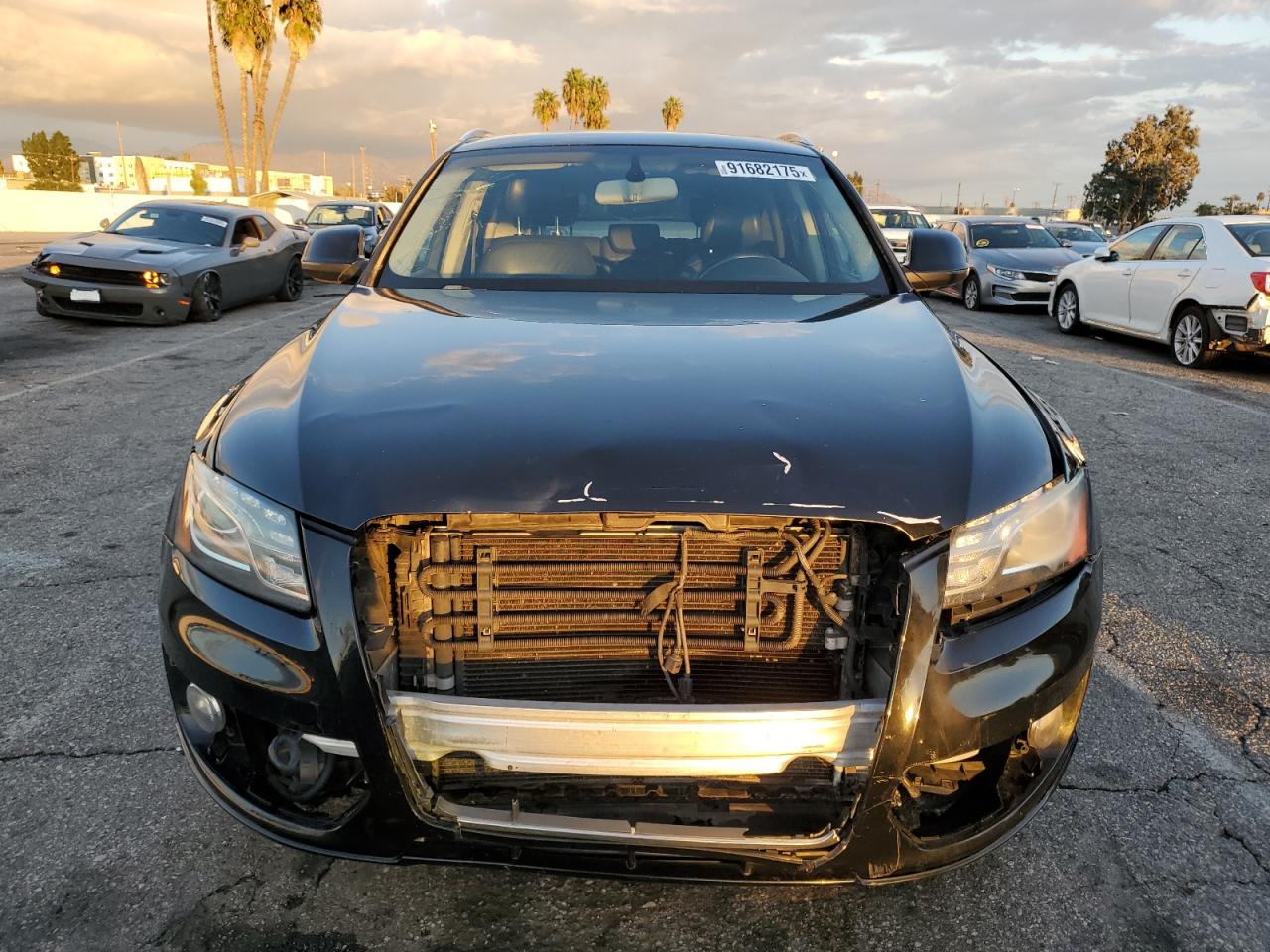 Lot #3316728425 2009 AUDI Q5 3.2