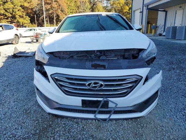 2017 HYUNDAI SONATA SPO - 5NPE34AF3HH554672
