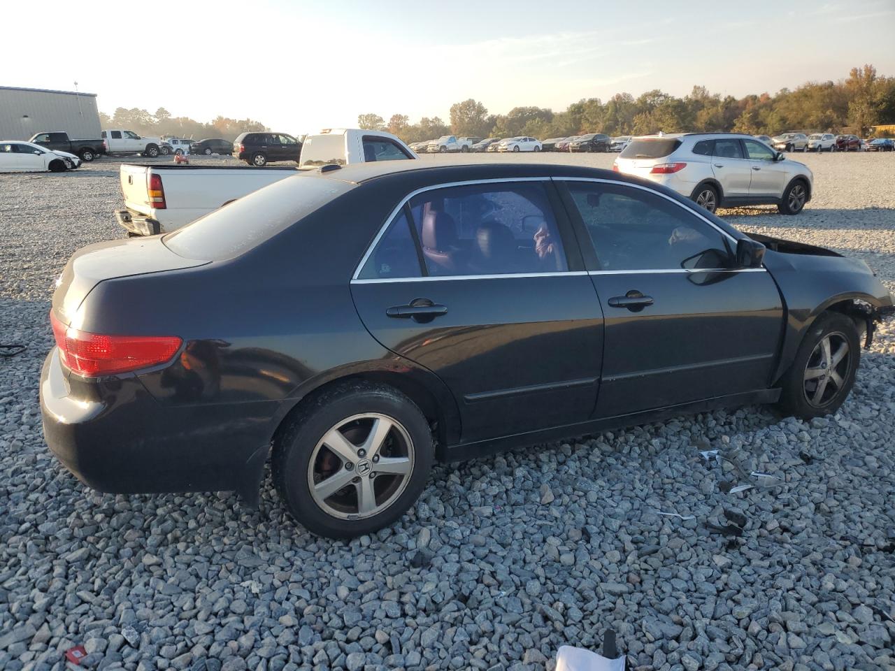 Lot #3304616472 2005 HONDA ACCORD EX