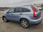 Lot #3303724476 2010 HONDA CR-V EX
