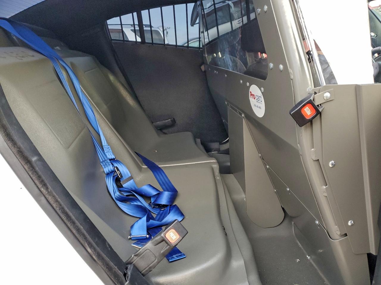 DODGE CHARGER POLICE