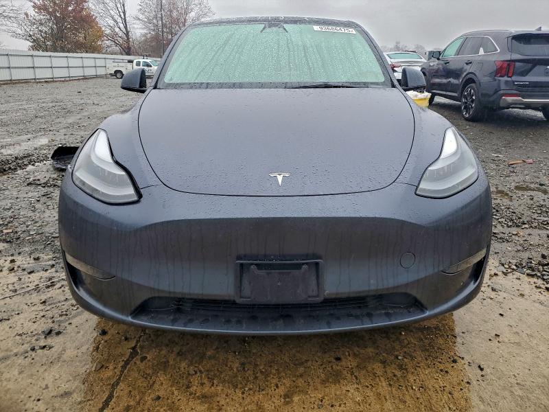 2023 TESLA MODEL Y #3301818347