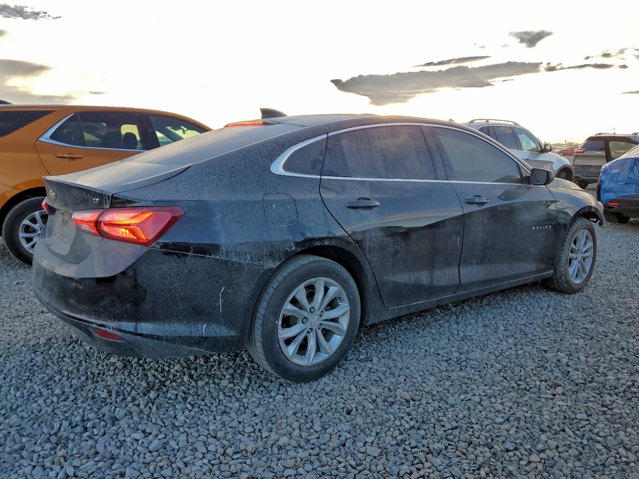 Lot #3303610942 2022 CHEVROLET MALIBU LT