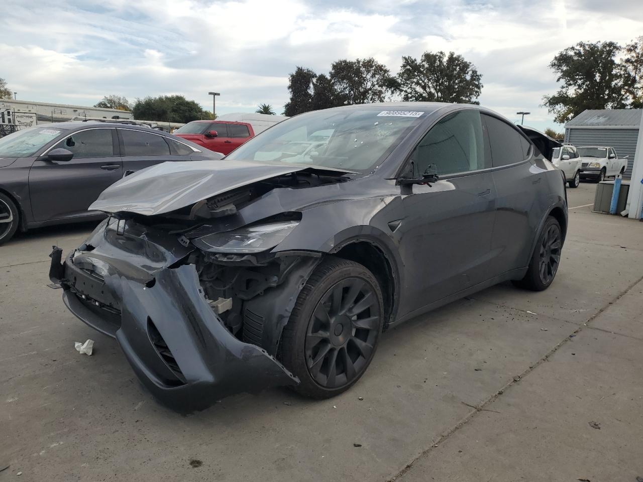 TESLA MODEL Y